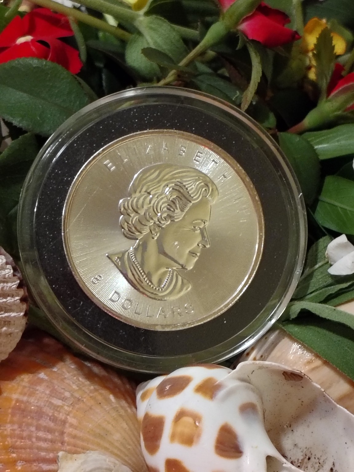 1857 Flying Eagle Cent 1C - AU50 - Slabbed Vintage US Small Cent (Copy)
