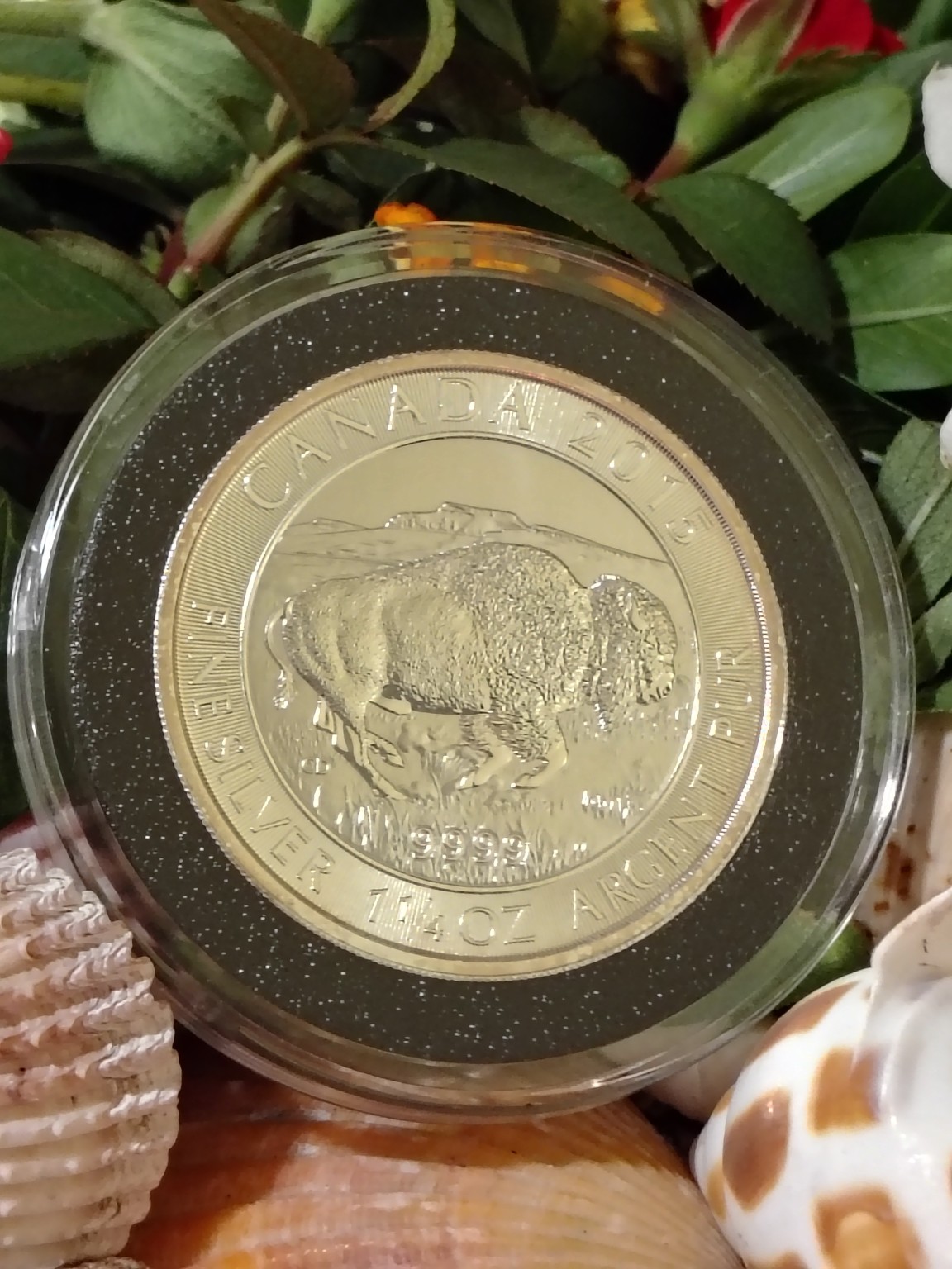 1857 Flying Eagle Cent 1C - AU50 - Slabbed Vintage US Small Cent (Copy) - Image 3